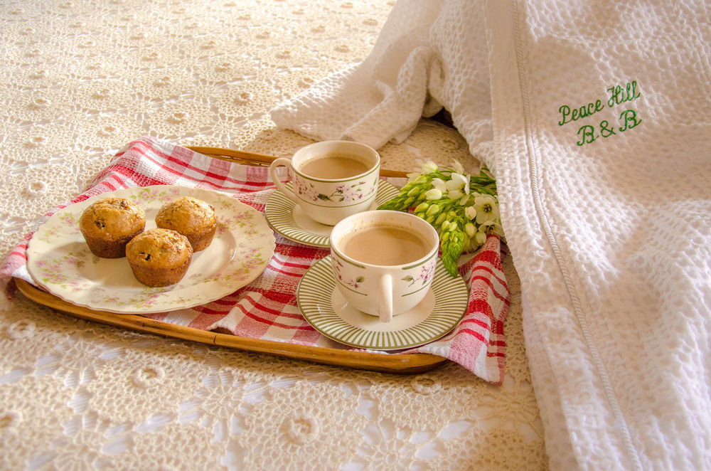 The Bed And Breakfast At Peace Hill Charles City エクステリア 写真